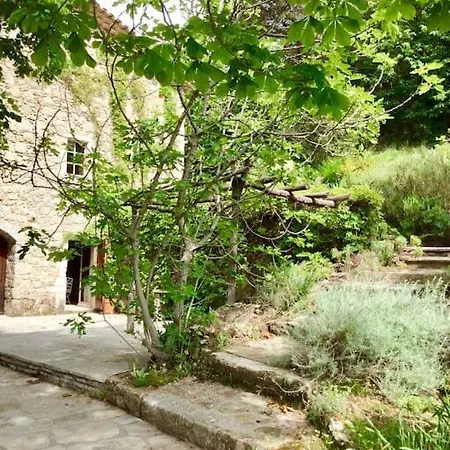 Mas Cevenol En Pleine Nature Colognac