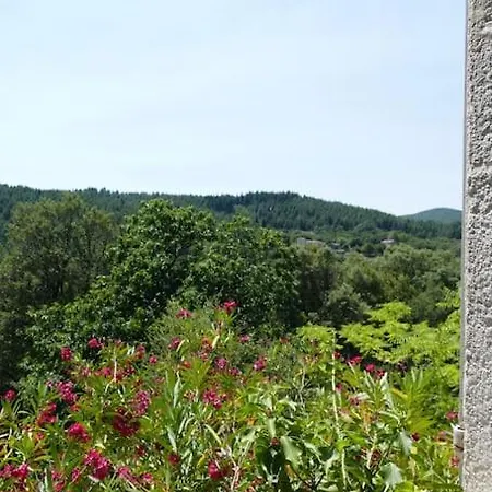 Mas Cevenol En Pleine Nature Colognac