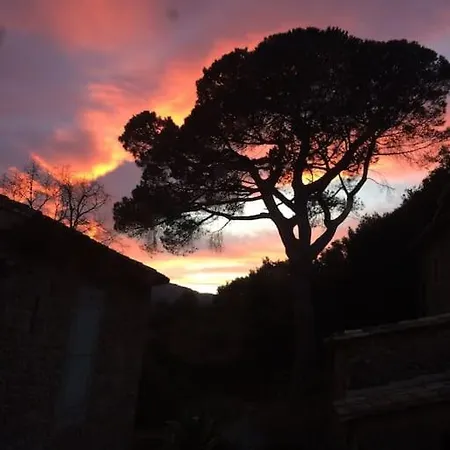 بيت للعطل Mas Cevenol En Pleine Nature *