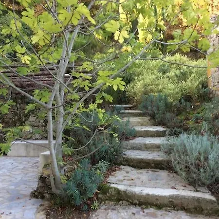 Mas Cevenol En Pleine Nature بيت للعطل Colognac