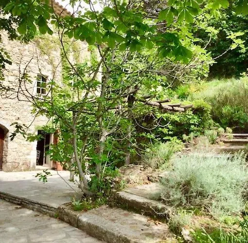 Mas Cevenol En Pleine Nature Colognac