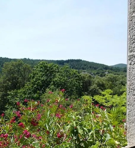 Mas Cevenol En Pleine Nature Colognac